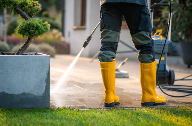 Best House Pressure Washing  in Hereford, TX